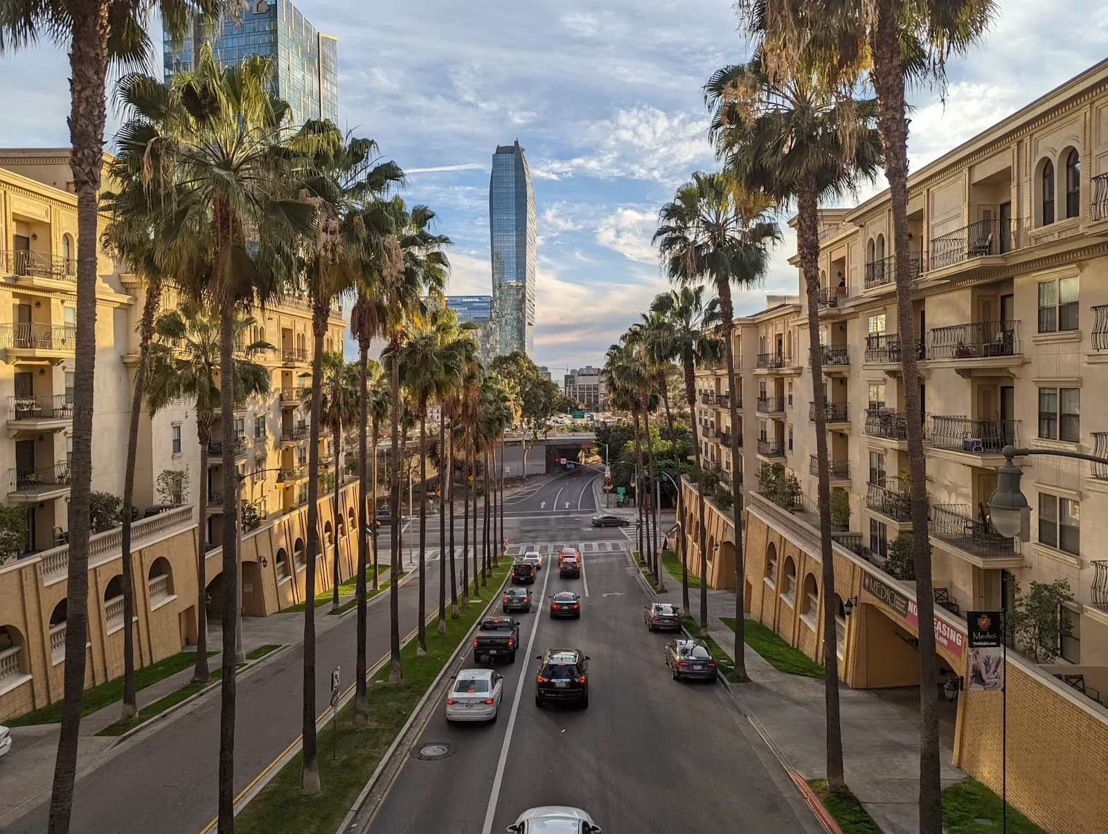 Los Angeles neighborhood street with parked cars and tall palm trees